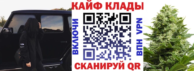 Продажа наркотиков Балтийск Гашиш  Галлюциногенные грибы  Мефедрон  Кокаин 